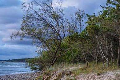 网易会有成年礼物吗